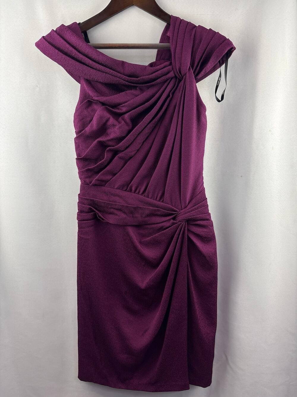 Women’s Tadashi Shoji Size 8 Plum Purple Cocktail Dress